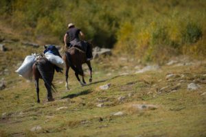 2015-09-30 Met paard en last in het gebergte